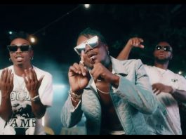 Sugarcane Remix Official Video by Camidoh Ft Mayorkun x King Promise x Darkoo